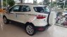 Ford EcoSport   Titanium   2019 - Bán Ford EcoSport Titanium năm 2019, màu trắng, giá cạnh tranh