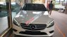 Mercedes-Benz C class   C200  2019 - Bán xe Mercedes C200 năm sản xuất 2019, mới 100%