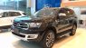 Ford Everest 2.0 Bi-Turbo 2019 - Bán xe Ford Everest Everest 4x4, 4x2 đời 2019, nhập khẩu, giá tốt nhất, giao xe trên toàn quốc - Liên hệ: 0766.120.596
