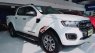 Ford Ranger 2019 - Ford Ranger Wildtrak 2.0L Bi-Turbo nhập khẩu đủ màu giao ngay, gọi ngay 0978 018 806