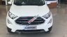 Ford EcoSport 2019 - Bán Ford EcoSport Titanium 1.5L AT năm sản xuất 2019, màu trắng
