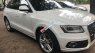 Audi Q5 2012 - Bán Audi Q5 sản xuất 2012, màu trắng, nhập khẩu nguyên chiếc