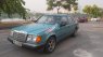 Mercedes-Benz E class 1995 - Bán Mercedes E class 1995, xe nhập, chính chủ