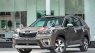 Subaru Forester   2019 - Bán xe Subaru Forester năm sản xuất 2019, màu nâu, nhập khẩu