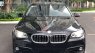 BMW 5 Series 520i 2015 - Cần bán xe BMW 5 Series 520i đời 2015, màu xanh lam, nhập khẩu nguyên chiếc