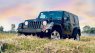 Jeep Wrangler 2009 - Bán xe Jeep Wrangler Sahara đời 2009, màu đen, xe nhập chính hãng