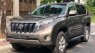 Toyota Prado   2013 - Cần bán xe Toyota Prado TXL 2.7L sản xuất 2013, màu xám, nhập khẩu