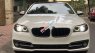 BMW 5 Series 2015 - Bán BMW 5 Series 520i năm 2015, màu trắng, xe nhập