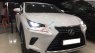 Lexus NX 2018 - Cần bán gấp Lexus NX đời 2018, màu trắng, xe nhập đẹp như mới