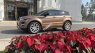 LandRover Evoque Dynamic 2014 - Bán LandRover Evoque Dynamic đời 2014, màu nâu, nhập khẩu