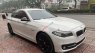 BMW 5 Series 2016 - Cần bán lại xe BMW 5 Series 520i sản xuất 2016, màu trắng, nhập khẩu nguyên chiếc