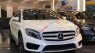 Mercedes-Benz GLA-Class   2016 - Cần bán gấp Mercedes GLA 250 đời 2016, màu trắng, nhập khẩu