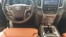 Toyota Land Cruiser MBS 2020 - Bán Toyota Land Cruiser Autobiography MBS 4 ghế VIP sản xuất 2020 màu đen nội thất nâu da bò