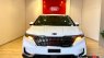 Kia Carnival Signature 2021 - Bán Kia Carnival Signature năm 2021, màu trắng