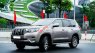 Toyota Prado   VX 2.7L  2020 - Bán xe Toyota Prado VX 2.7L đời 2020, màu xám, nhập khẩu chính chủ