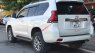 Toyota Land Cruiser Prado   VX   2019 - Bán Toyota Prado VX đời 2019, màu trắng, nhập khẩu nguyên chiếc