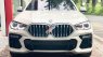 BMW X6 2021 - Cần bán xe BMW X6 sản xuất 2021, màu trắng, xe nhập số tự động