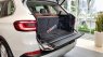 BMW X5 2021 - Bán BMW X5 năm 2021 - Nhập khẩu - Nhiều màu, Bảng giá mới nhất - Nhiều chương trình hấp dẫn trong tháng 10