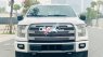 Ford F 150  Platinium  2016 - Bán ô tô Ford F 150 Platinium năm sản xuất 2016, màu trắng, nhập khẩu nguyên chiếc