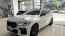 BMW X6 2020 - Bán ô tô BMW X6 sản xuất 2020, màu trắng, nhập khẩu nguyên chiếc