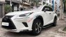 Lexus NX 300 2017 - Xe model 2018, màu trắng