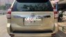 Toyota Land Cruiser Prado 2013 - Màu nâu, nhập khẩu