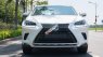 Lexus NX 300 2017 - Màu trắng, xe nhập