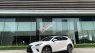 Lexus NX 300 2021 - Bán ô tô Lexus NX 300 năm sản xuất 2021, màu trắng