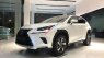 Lexus NX 300 2021 - Bán ô tô Lexus NX 300 năm sản xuất 2021, màu trắng