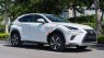 Lexus NX 300 2017 - Màu trắng, nhập khẩu nguyên chiếc đẹp như mới