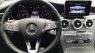 Mercedes-Benz GLC 300 2017 - Màu nâu