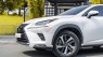 Lexus NX 300 2021 - Chạy cực ít biển tỉnh