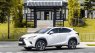 Lexus NX 300 2021 - Chạy cực ít biển tỉnh