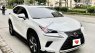 Lexus NX 300 2018 - Màu trắng, nhập khẩu