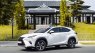 Lexus NX 300 2021 - Cần bán gấp xe 