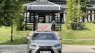 Lexus NX 300 2020 - Màu xám, xe nhập