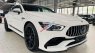 Mercedes-AMG GT 53 2024 -  2024 số tự động tại Hà Nội