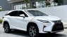 Lexus RX 300 2018 - Sang trọng hiện đại