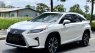 Lexus RX 300 2018 - Sang trọng hiện đại