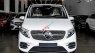 Mercedes-Benz V250 2022 - Xe siêu hot nhập khẩu nguyên chiếc