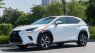 Lexus NX 300 2017 - Xe màu trắng