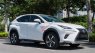 Lexus NX 300 2017 - Xe màu trắng