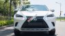 Lexus NX 300 2017 - Màu trắng, xe nhập số tự động