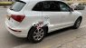 Audi Q5   quattro 2.0 Turbo sx 2012 2012 - Audi Q5 quattro 2.0 Turbo sx 2012