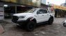 Ford Ranger Raptor 2020 - Nhập khẩu