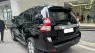 Toyota Prado TXL 2013 - Bán Toyota Prado TXL đời 2013, màu đen, xe nhập, giá thương lượng