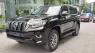 Toyota Land Cruiser Prado VX 2.7L 2019 - Bán ô tô Toyota Land Cruiser Prado VX 2.7L đời 2019, màu đen, xe nhập khẩu