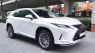 Lexus RX 300 2021 - Cần bán Lexus RX 300 đời 2021, xe nhập, giá cả thương lượng