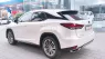 Lexus RX 300 2021 - Cần bán Lexus RX 300 đời 2021, xe nhập, giá cả thương lượng