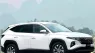 Hyundai Santa Fe 2024 - Showroom Hyundai Đông Anh Hotline 0915543133  Chuyên cung cấp các dòng xe mới, mẫu mã đa dạng